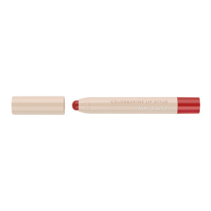 NEW Color and Shine Lip Stylo 2025 / 11g